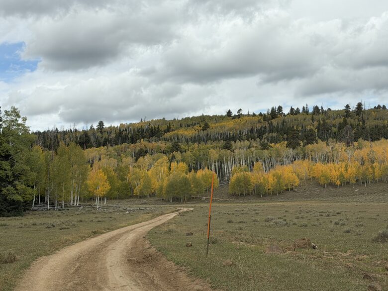 Duck Creek Mountain Cabin with Hot Tub & Casita - Duck Creek Village, Utah