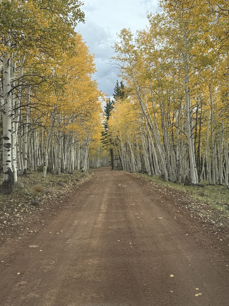 Duck Creek Mountain Cabin with Hot Tub & Casita - Duck Creek Village, Utah
