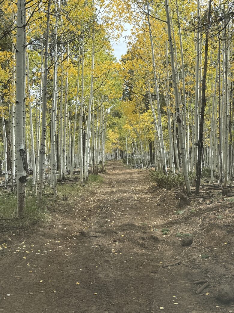 Duck Creek Mountain Cabin with Hot Tub & Casita - Duck Creek Village, Utah