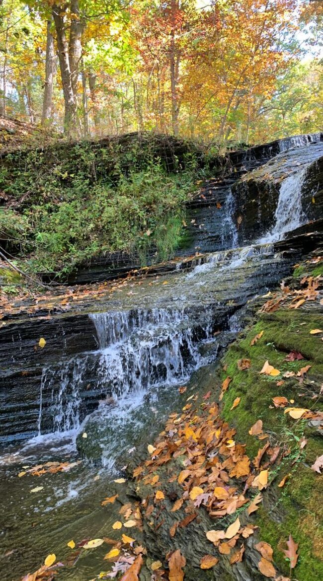 Waterfront Escape in the Heart of Seneca Lake Wine Country - Burdett, New York