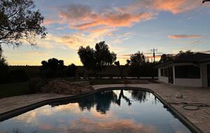 Byron Olive Grove Estate with Pool and Sunset Views - Byron, California