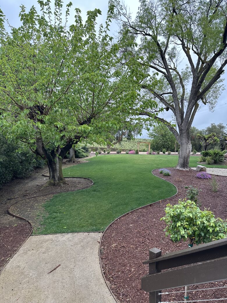Byron Olive Grove Estate with Pool and Sunset Views - Byron, California
