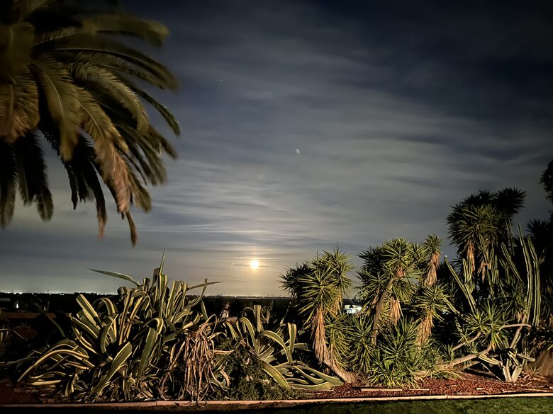 Byron Olive Grove Estate with Pool and Sunset Views - Byron, California