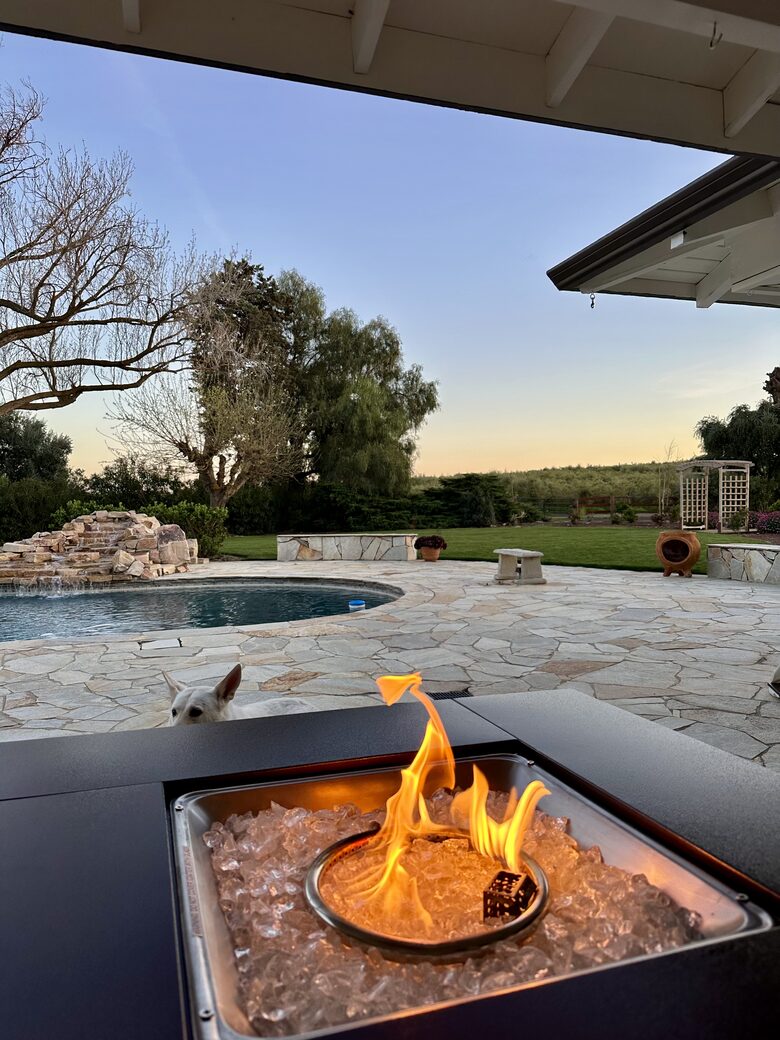 Byron Olive Grove Estate with Pool and Sunset Views - Byron, California