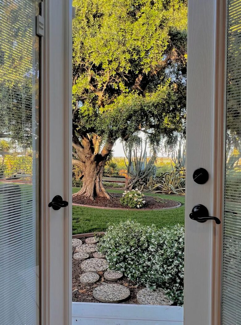 Byron Olive Grove Estate with Pool and Sunset Views - Byron, California