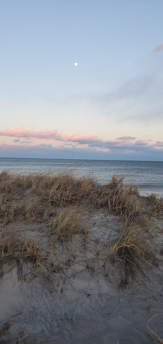 Dreamy Barnegat Light Oceanfront Shore Beach House - Barnegat Light, New Jersey
