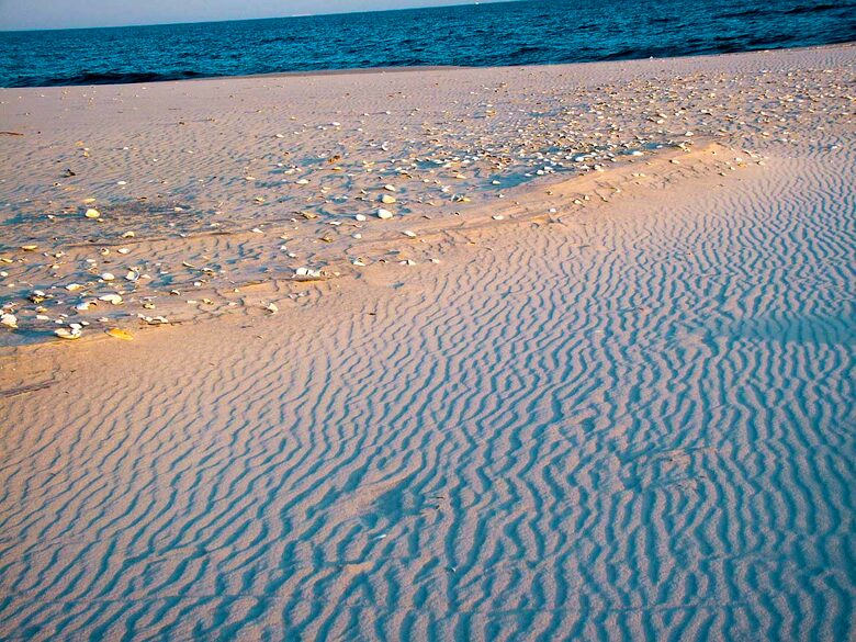 Dreamy Barnegat Light Oceanfront Shore Beach House - Barnegat Light, New Jersey