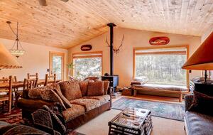 Fairplay Mountain Retreat with Hot Tub Near Breckenridge - Fairplay, Colorado