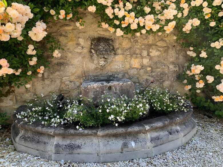 Gascony Country Estate near Lectoure - Lectoure, France
