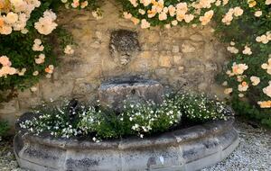 Gascony Country Estate near Lectoure - Lectoure, France