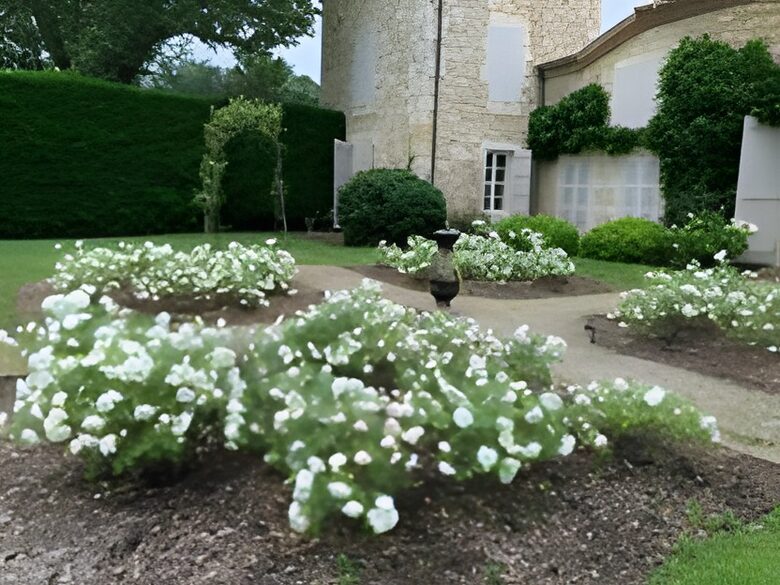 Gascony Country Estate near Lectoure - Lectoure, France