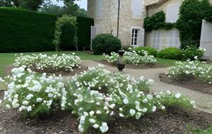 Gascony Country Estate near Lectoure - Lectoure, France