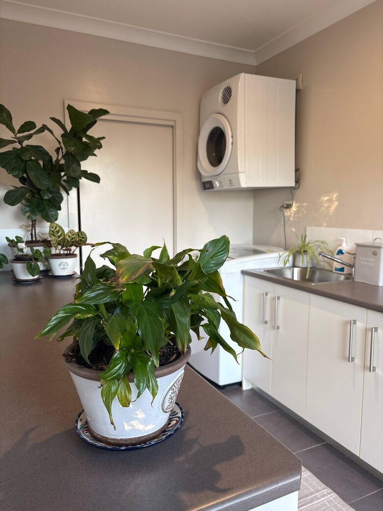 Armidale Country Retreat with Gardens and Rural Views - Armidale, Australia