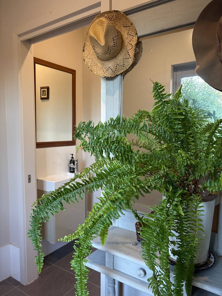 Armidale Country Retreat with Gardens and Rural Views - Armidale, Australia