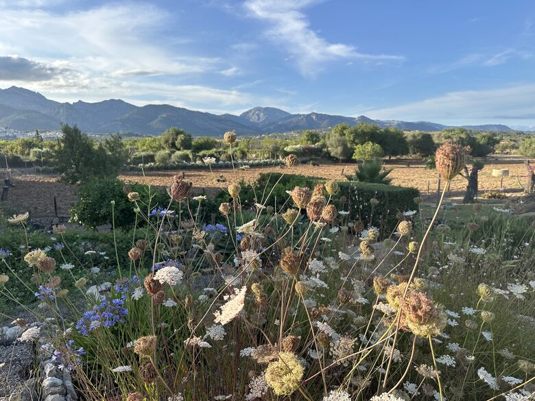 Charming Tramuntana View Finca - Selva, Mallorca, Spain