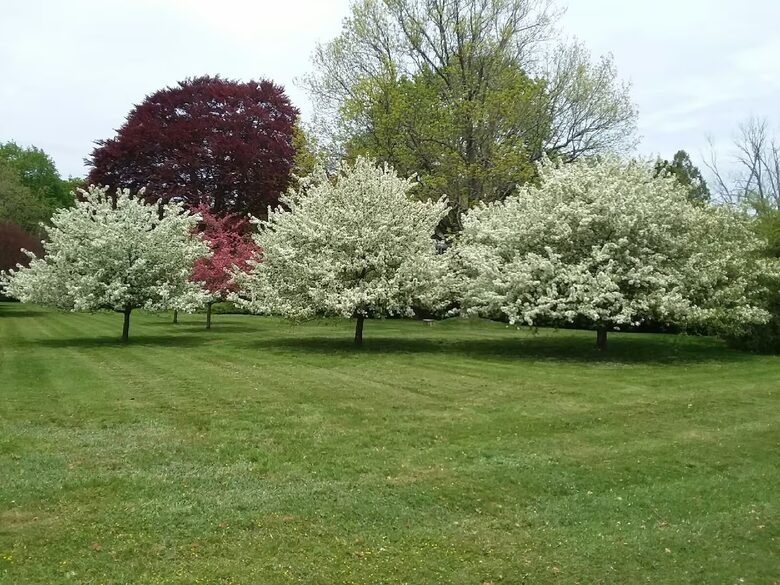 Manchester-by-the-Sea Historic Estate with Four-Acre Gardens - Manchester, Massachusetts