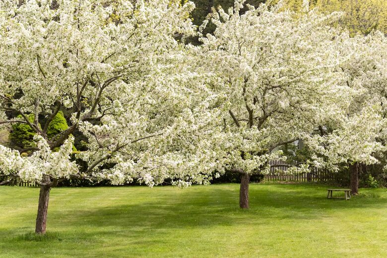 Manchester-by-the-Sea Historic Estate with Four-Acre Gardens - Manchester, Massachusetts