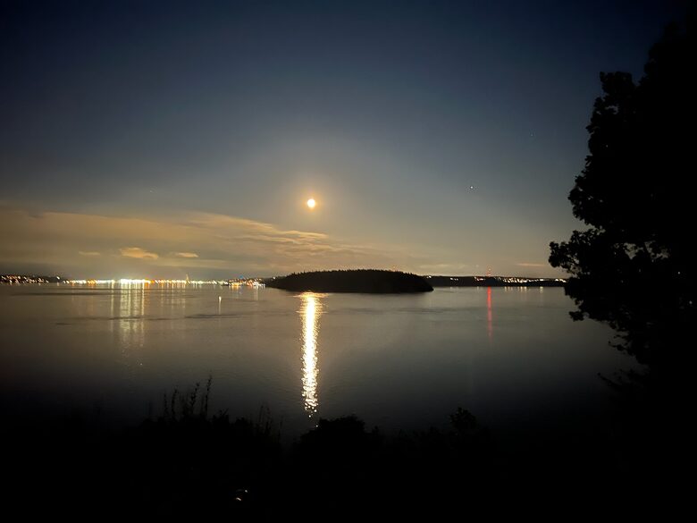 Scenic Gig Harbor Retreat Overlooking Puget Sound - Gig Harbor, Washington