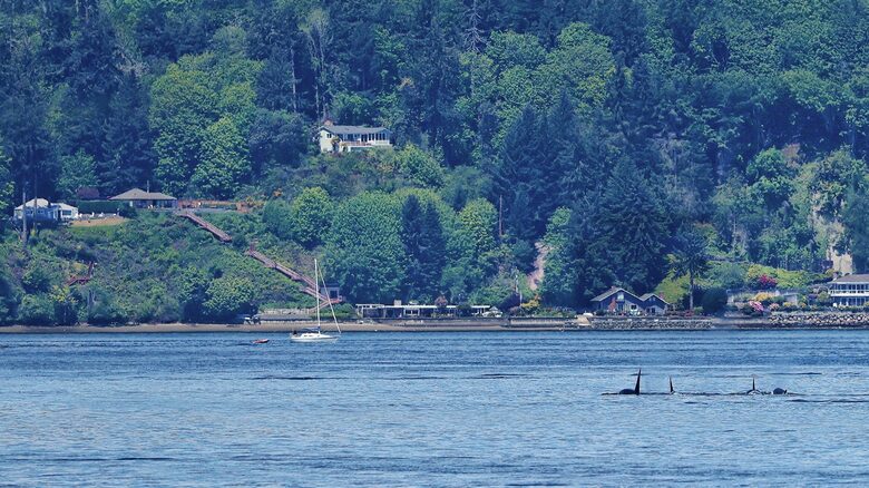 Scenic Gig Harbor Retreat Overlooking Puget Sound - Gig Harbor, Washington