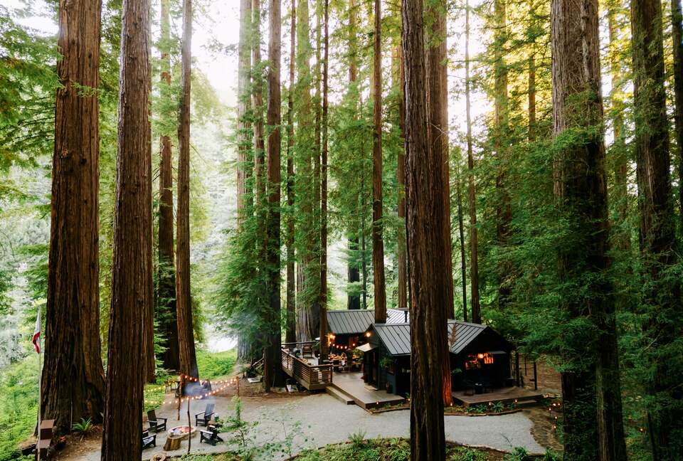 Peaceful Redway Retreat Surrounded by Giant Redwoods - Redway, California