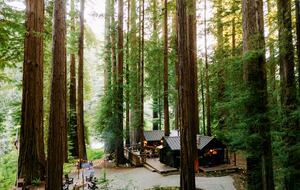 Peaceful Redway Retreat Surrounded by Giant Redwoods - Redway, California