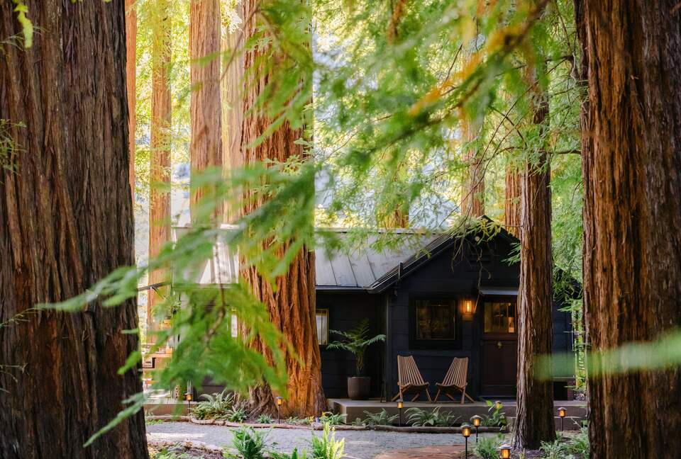 Peaceful Redway Retreat Surrounded by Giant Redwoods - Redway, California