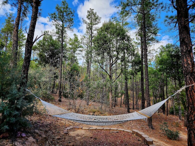Secluded Mountain Lodge Among Show Low's Ponderosa Pines - Show Low, Arizona