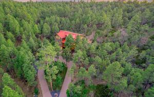 Secluded Mountain Lodge Among Show Low's Ponderosa Pines - Show Low, Arizona