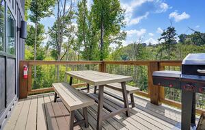 Wears Valley Cabin with Indoor Pool and Mountain Views - Sevierville, Tennessee