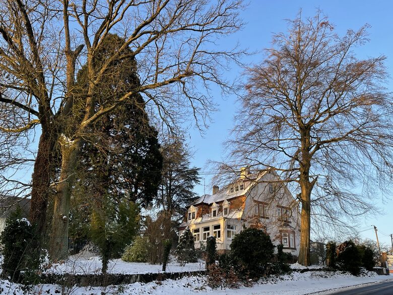 Restored 1907 Alsatian Villa - Wissembourg, France