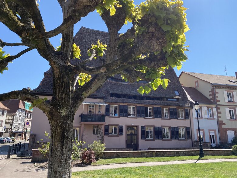 Restored 1907 Alsatian Villa - Wissembourg, France