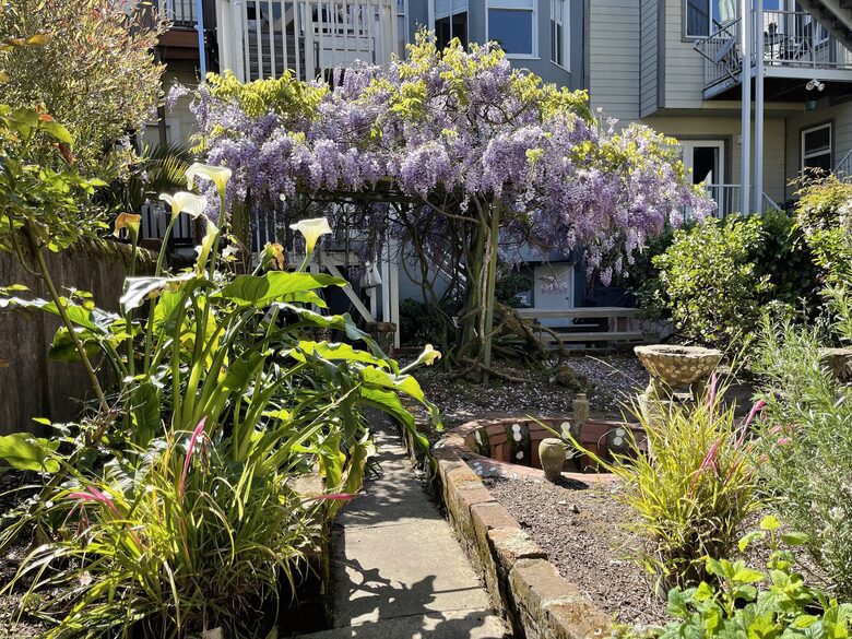 Haight-Ashbury Edwardian Flat Near Golden Gate Park - San Francisco, California