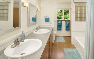 Charming Mid-Century Hideaway in Lake Forest Park - Lake Forest Park, Washington