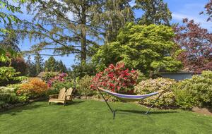 Charming Mid-Century Hideaway in Lake Forest Park - Lake Forest Park, Washington