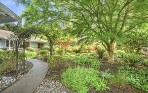 Charming Mid-Century Hideaway in Lake Forest Park - Lake Forest Park, Washington