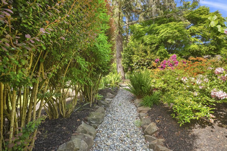 Charming Mid-Century Hideaway in Lake Forest Park - Lake Forest Park, Washington