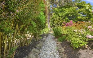 Charming Mid-Century Hideaway in Lake Forest Park - Lake Forest Park, Washington