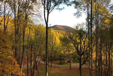 Cozy Mountain Hideaway Near Downtown Waynesville - Waynesville, North Carolina