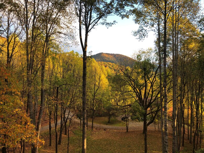 Cozy Mountain Hideaway Near Downtown Waynesville - Waynesville, North Carolina
