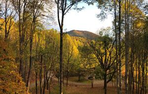Cozy Mountain Hideaway Near Downtown Waynesville - Waynesville, North Carolina