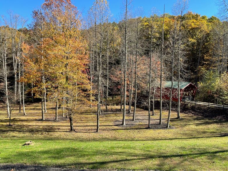 Year-Round Christmas Cabin in Blairsville with Private Hot Tub - Blairsville, Georgia