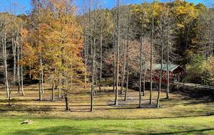 Year-Round Christmas Cabin in Blairsville with Private Hot Tub - Blairsville, Georgia