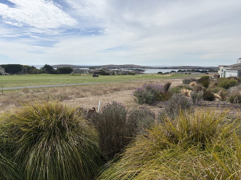 Beach-Ocean-Bay Panoramic View Golf Course Home - Bodega Bay, California