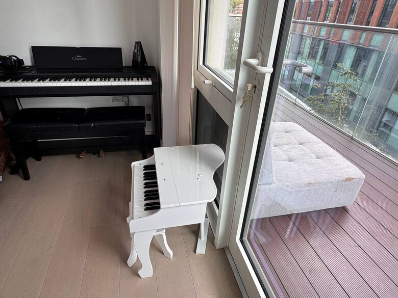 Luxury Thames Riverside Apartment with Sunset Terraces - London, United Kingdom