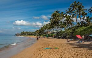 Wailea Oceanview Retreat with Beach Access and Resort Pools - Kihei, Hawaii