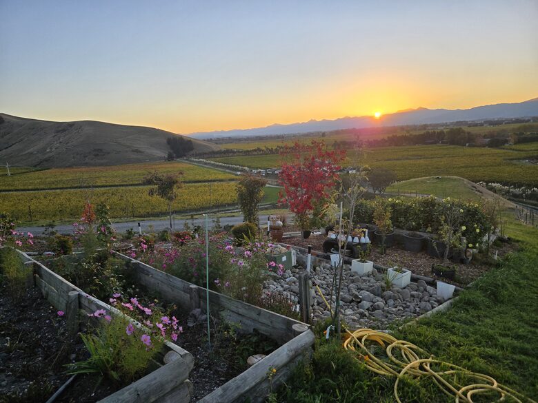 Tuscan-Inspired Luxury Villa with Marlborough Vineyard Views - Riverlands, New Zealand