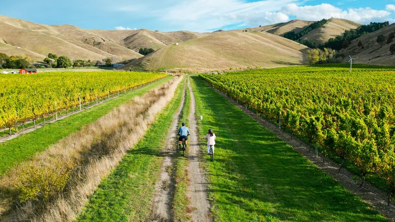 Tuscan-Inspired Luxury Villa with Marlborough Vineyard Views - Riverlands, New Zealand