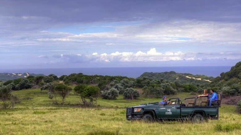Private Ocean House at The Oceana Beach & Wildlife Reserve - Riet River, South Africa