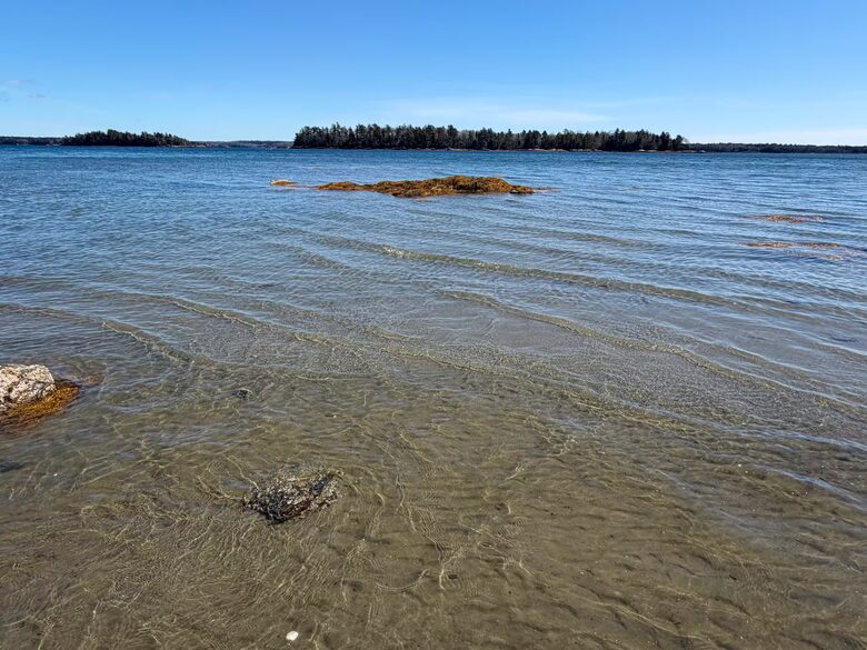 Serene Coastal Sanctuary Overlooking Casco Bay - Freeport, Maine
