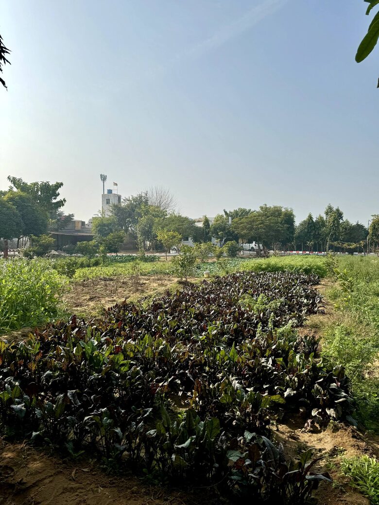 Tranquil Countryside Villa with Pool - Tapukara, India